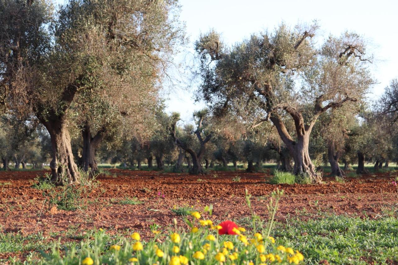B&B Passione Del Sud Lecce Luaran gambar